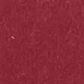 Burgundy Felt Sample - Sean Woolsey Studio