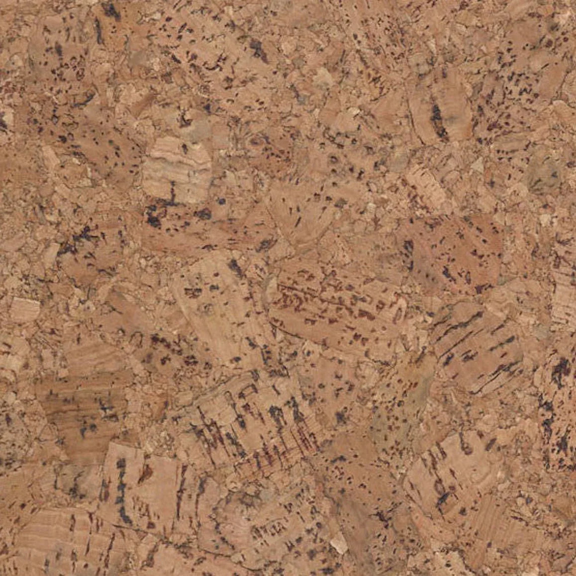 Caribbean Cork Sample - Sean Woolsey Studio