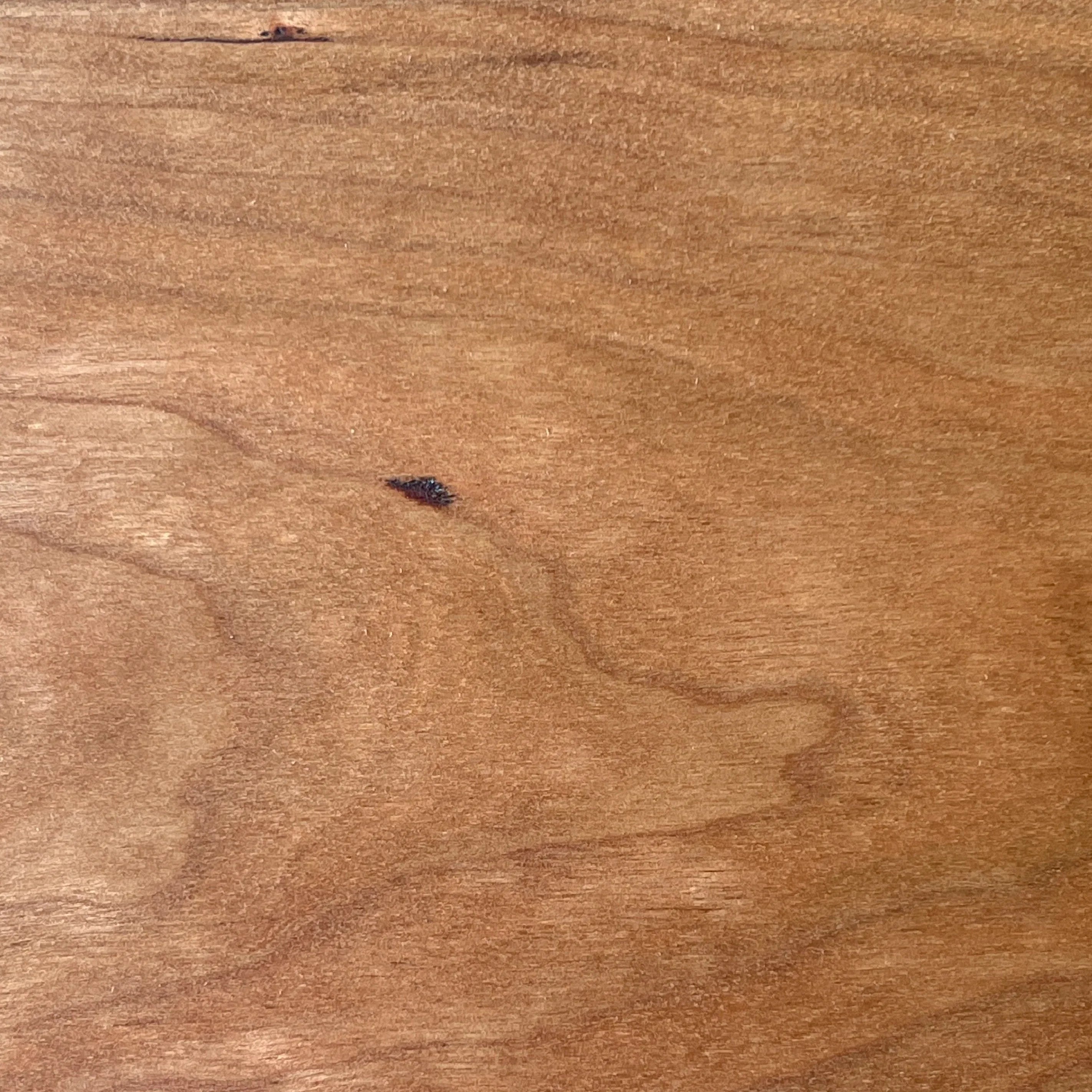 Cherry Sample (New!) - Sean Woolsey Studio