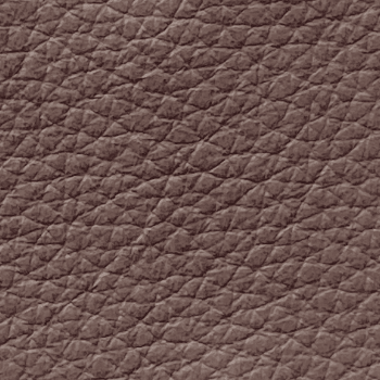 Walnut Leather Sample - Sean Woolsey Studio