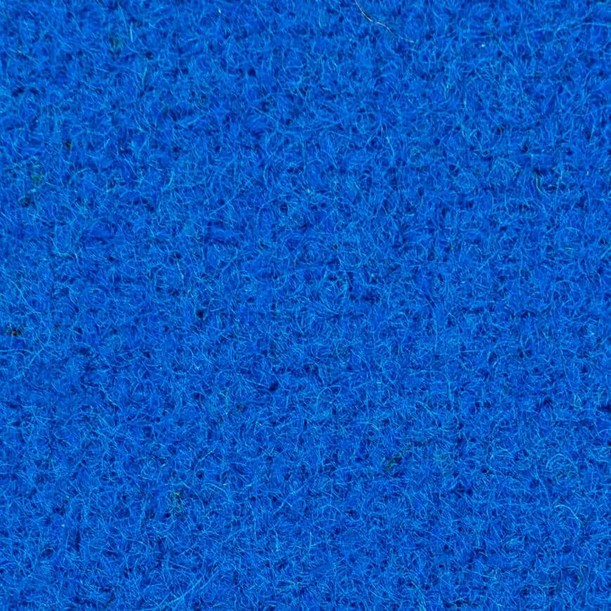Championship Electric Blue Sample - Sean Woolsey Studio