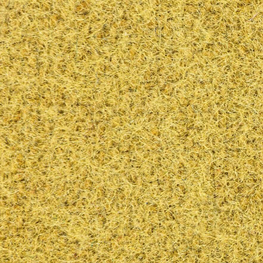 Championship Golden Sample - Sean Woolsey Studio