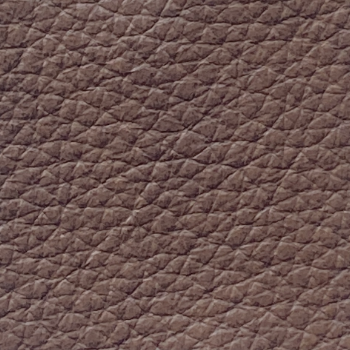 Walnut Leather Sample.