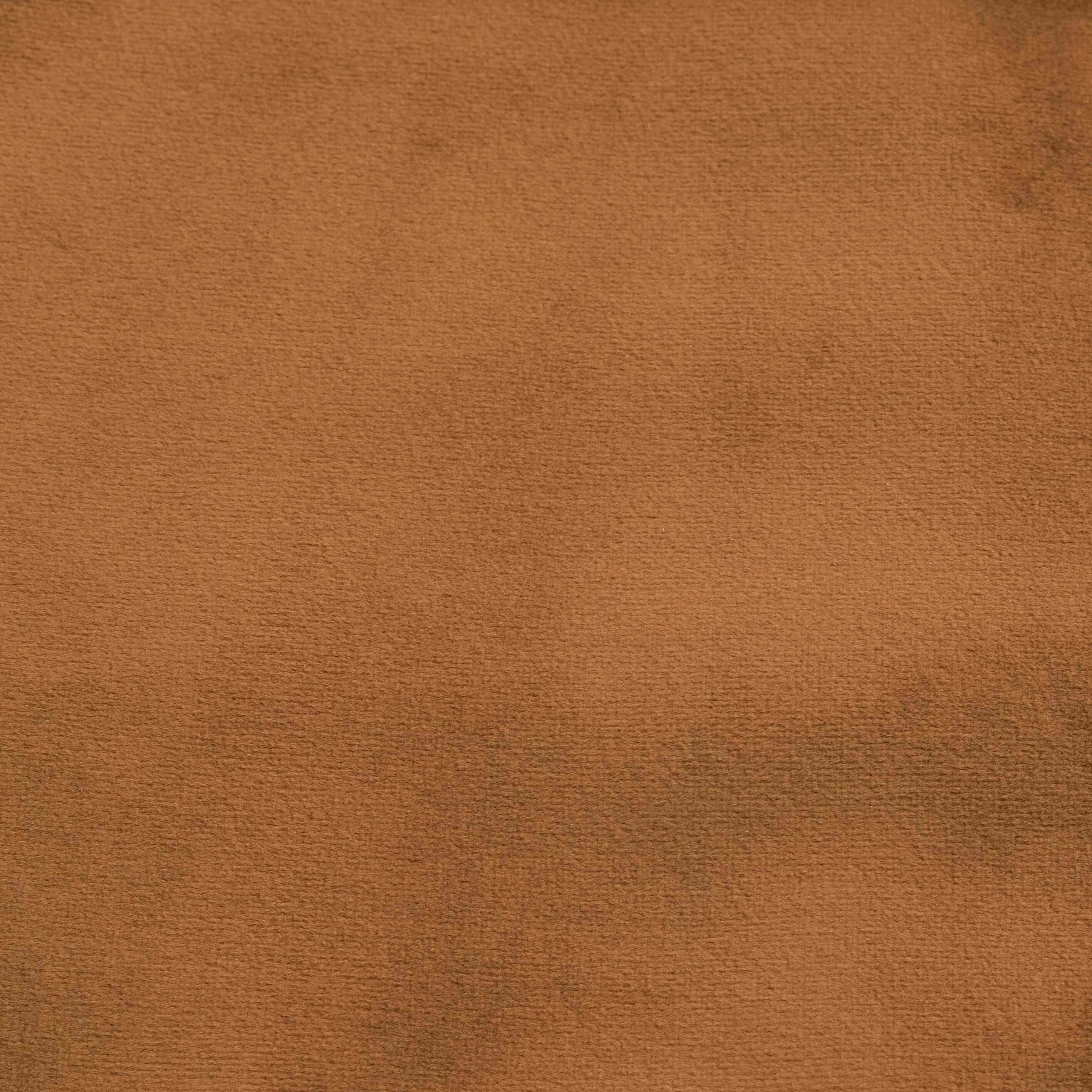 Camel Velvet Sample